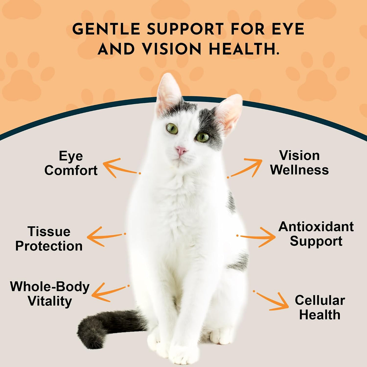 Eye Defense Support para Perros y Gatos, 59 – Base: Glicerina vegetal y agua purificada (sin alcohol). – Image 3