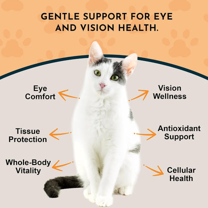 Eye Defense Support para Perros y Gatos, 59 – Base: Glicerina vegetal y agua purificada (sin alcohol). – Image 3