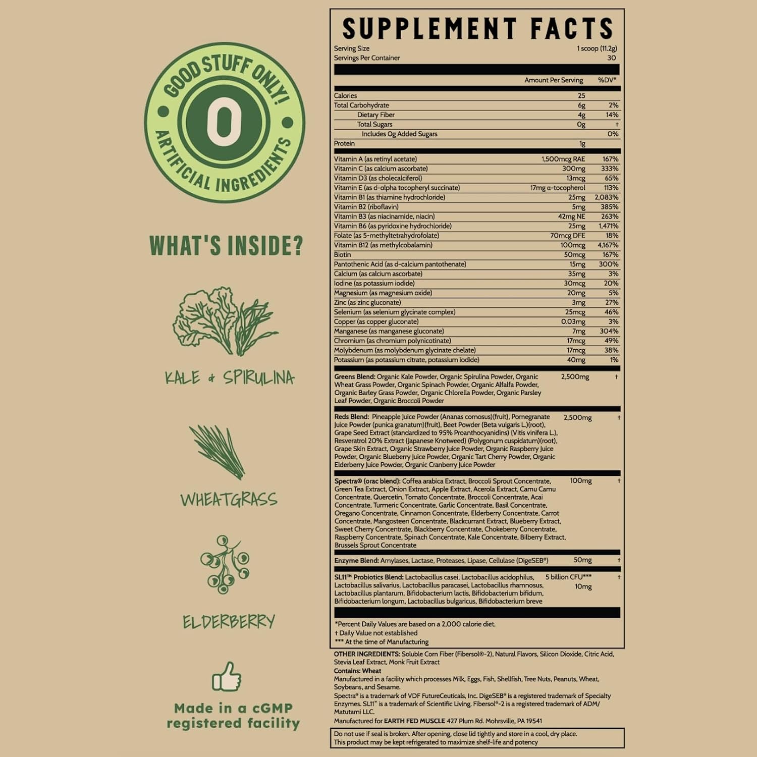Earth Fed Muscle Greens and Reds Superfoods Blend, Piña Colada – 30 Servicios