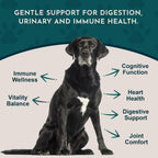 Animal Essentials Senior Support para Perros y Gatos - Suplemento Herbal