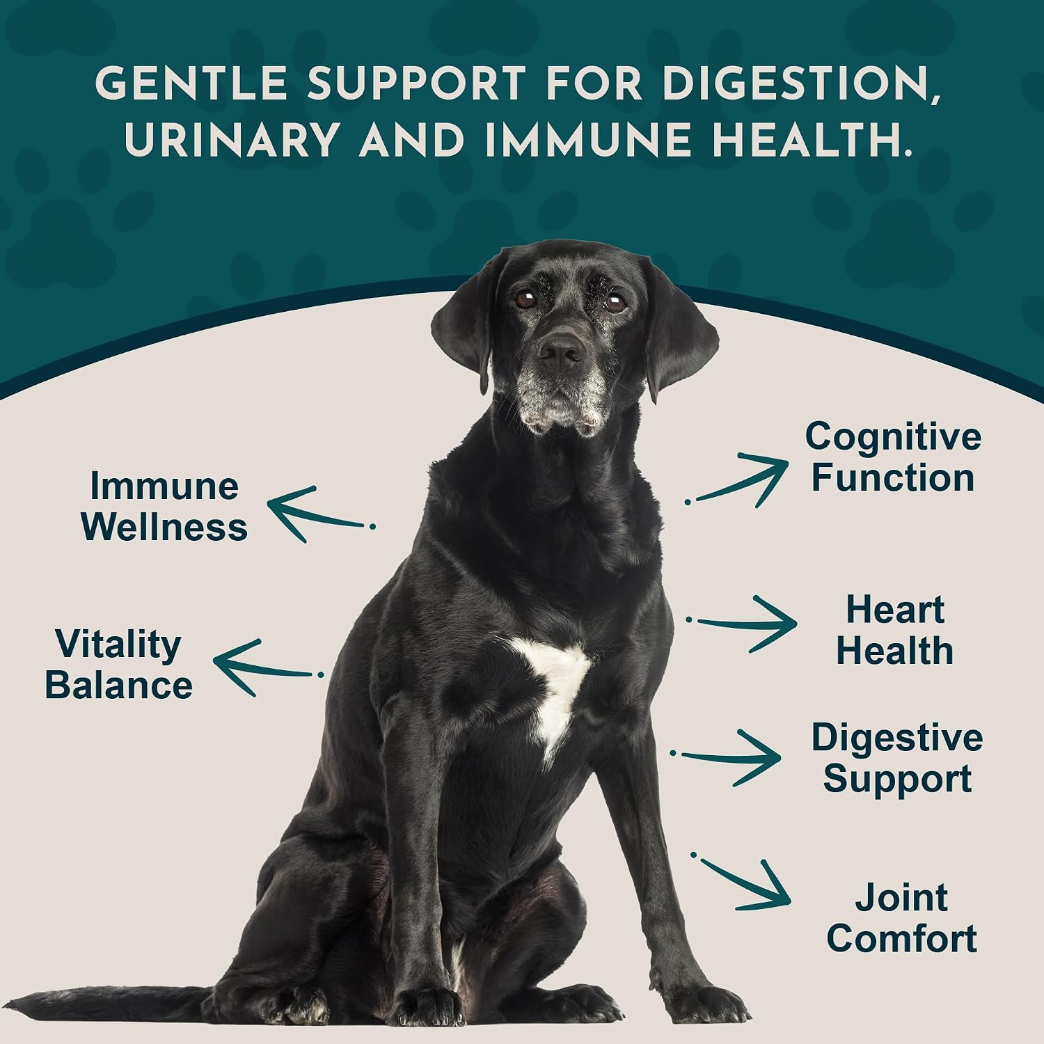 Animal Essentials Senior Support para Perros y Gatos - Suplemento Herbal