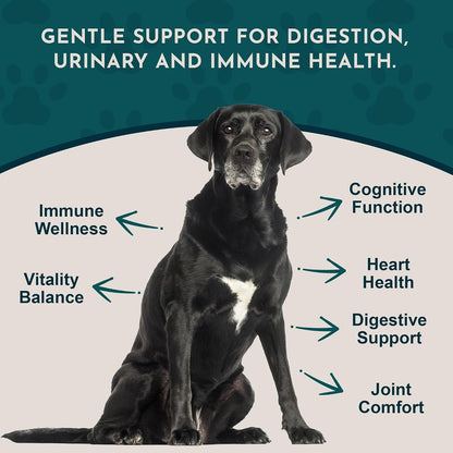 Animal Essentials Senior Support para Perros y Gatos - Suplemento Herbal – Image 3