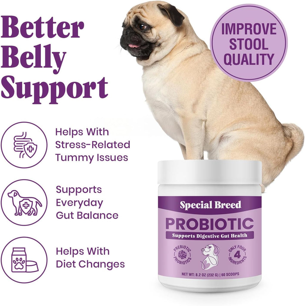 Probióticos para Perros en Polvo con 6 mil millones de UFC, Prebióticos y Enzimas Digestivas - Salud Digestiva e Inmune - 60 Dosis