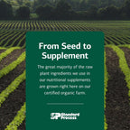 Standard Process Betafood 180 Comprimidos - Suplemento Digestivo y Hepático Vegano Sin Gluten