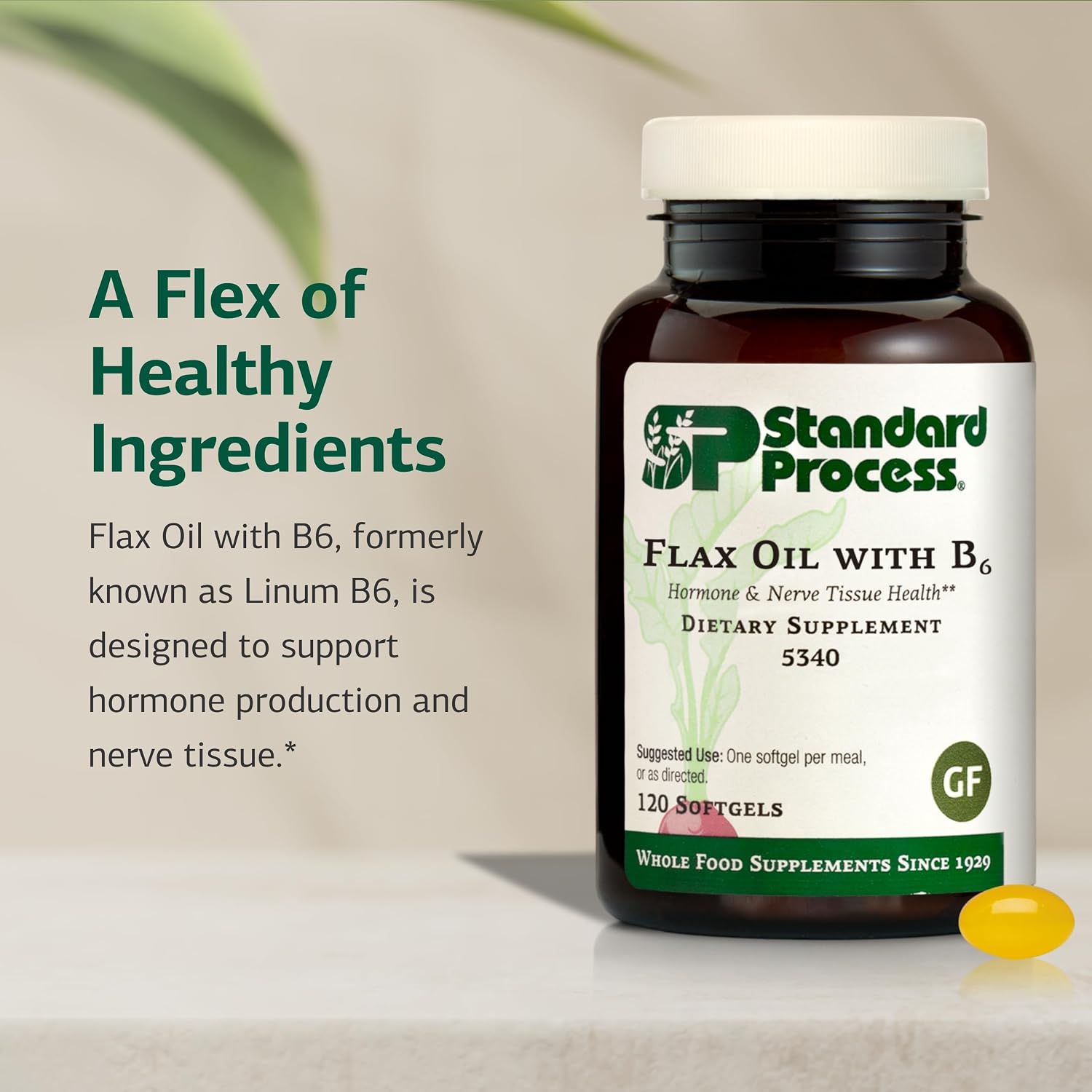 Standard Process Aceite de Lino con B6 - 120 Cápsulas Blandas