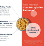 Designs for Health Homocysteine Supreme - Vitaminas B Metiladas con Riboflavina, B6, B12, Folato, L-Serina y TMG - Apoyo para el Corazón y el Cerebro (60 Cápsulas)