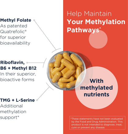 Designs for Health Homocysteine Supreme - Complejo de Vitaminas B Metiladas con Riboflavina, B6, B12, Folato, L-Serina y TMG – Image 3