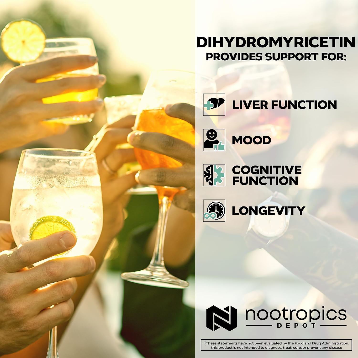 Nootropics Depot Dihidromiricetina (DHM) Cápsulas | Apoyo después de beber y recuperación | Extracto de Té de Vid (Ampelopsis grossedentata) | 60 cápsulas