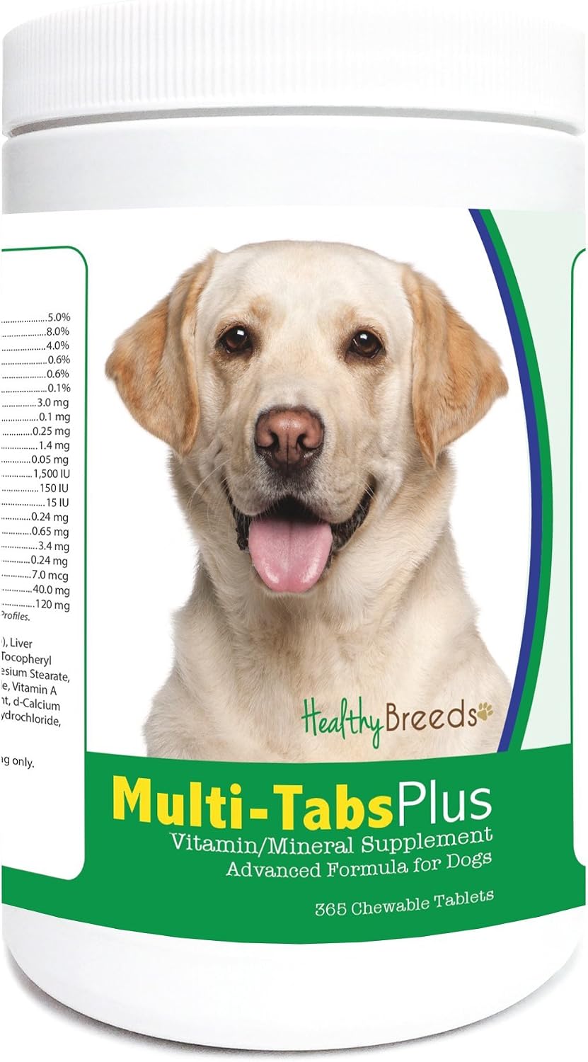 Healthy Breeds Multi-Tabs Plus para Labrador Retriever - 365 Comprimidos Masticables