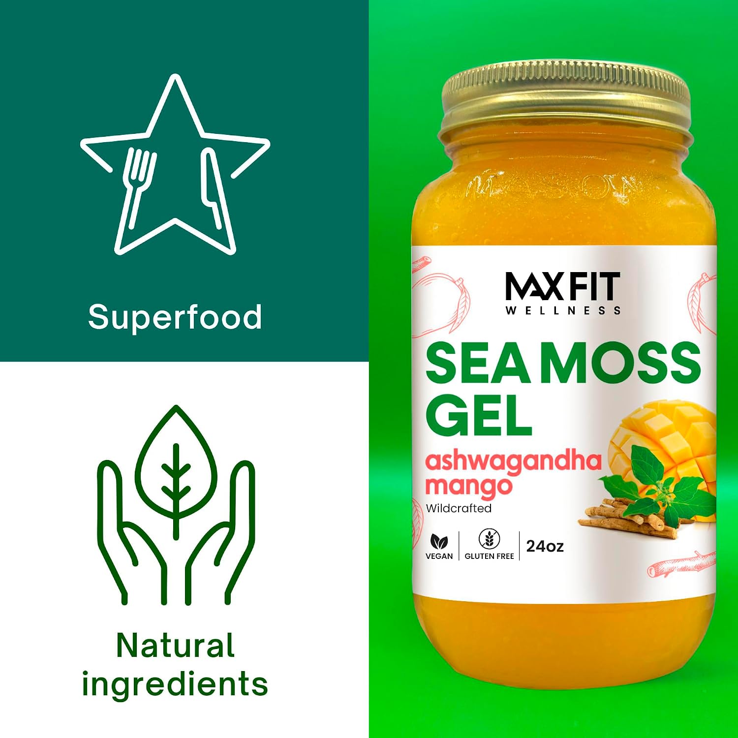 Gel de Sea Moss con Ashwagandha y Mango | 24oz - Wildcrafted Gold Sea Moss | MAX FIT