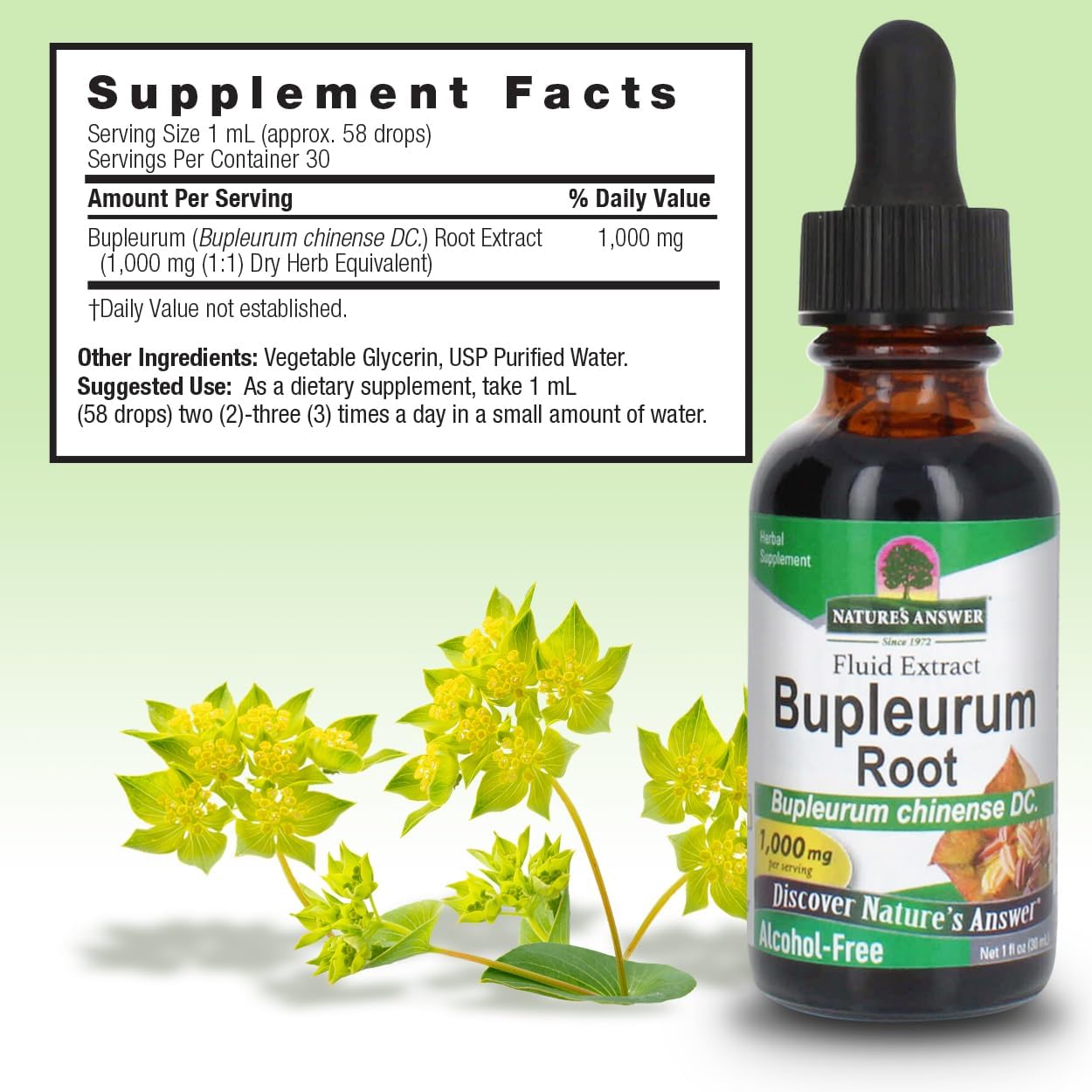 Nature's Answer Bupleurum Root - Extracto Líquido 1000 mg (30 ml)