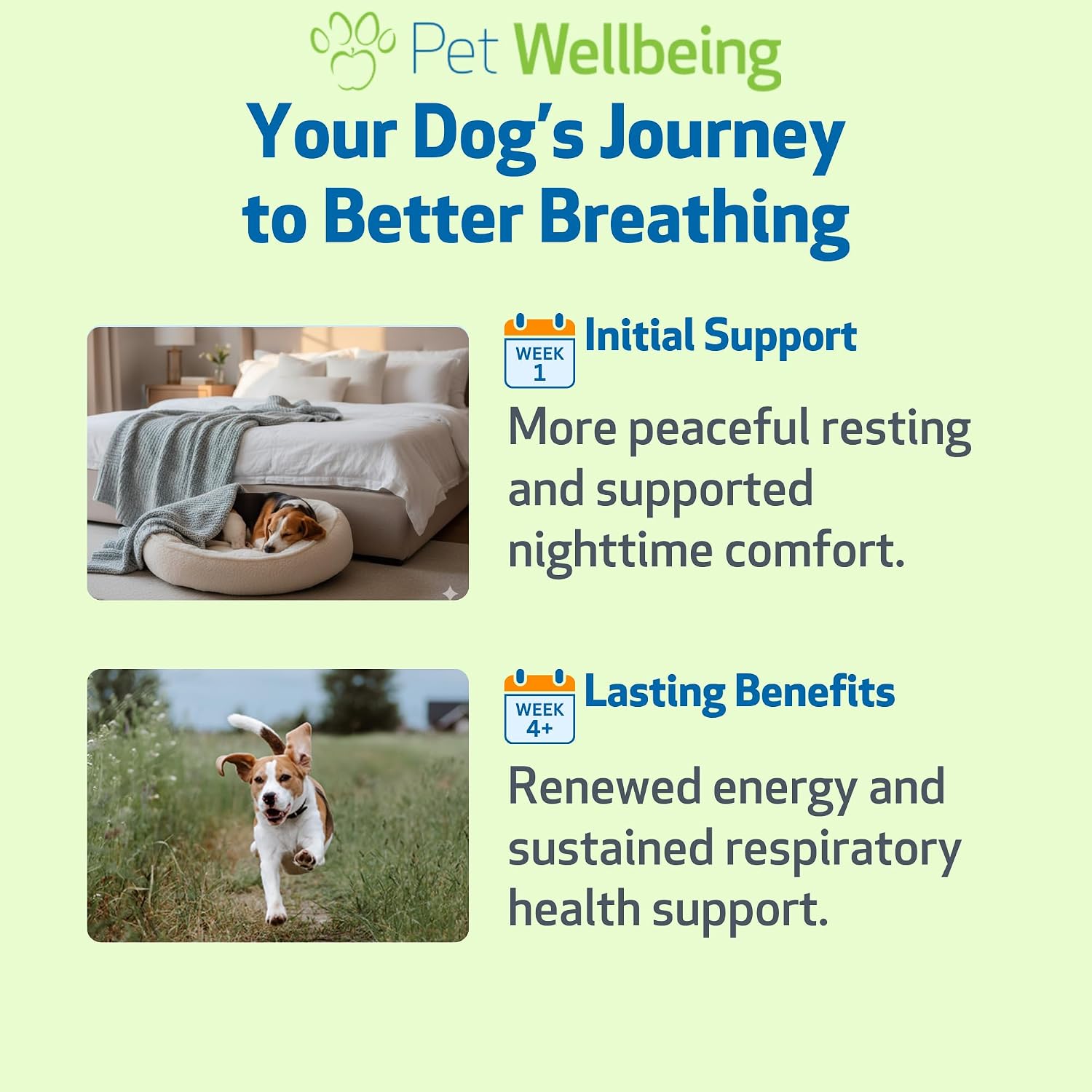 Pet Wellbeing Respir-Gold para Perros - Suplemento Líquido para Vías Respiratorias y Pulmones, con Comino Negro y Boswellia, Sabor Natural a Bacon, 59 ml