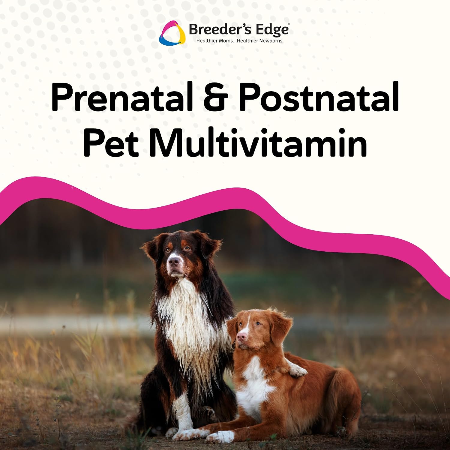 Breeder’s Edge Breed to Wean Multivitamínico para Perros y Gatos, 400 Comprimidos Masticables