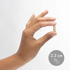 Dr. Mercola Lumbrokinase Enzymes - Fórmula de Liberación Retardada - 30 Cápsulas