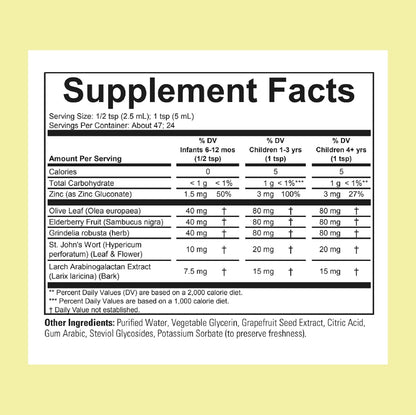 CHILDLIFE ESSENTIALS First Defense - Jarabe – Zinc: Como hemos mencionado, el zinc contribuye al funcionamiento – Image 2