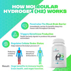 Essential H2 Comprimidos Efervescentes de Hidrógeno Molecular - 60 Servicios
