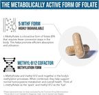 L-Metilfolato 1000 mcg más Metil B12 Cofactor – Forma Activa 5-MTHF – Apoya el Estado de Ánimo, la Metilación y la Cognición – Vitaminas B9 y B12 Altamente Biodisponibles (60 Cápsulas – 60 Porciones)