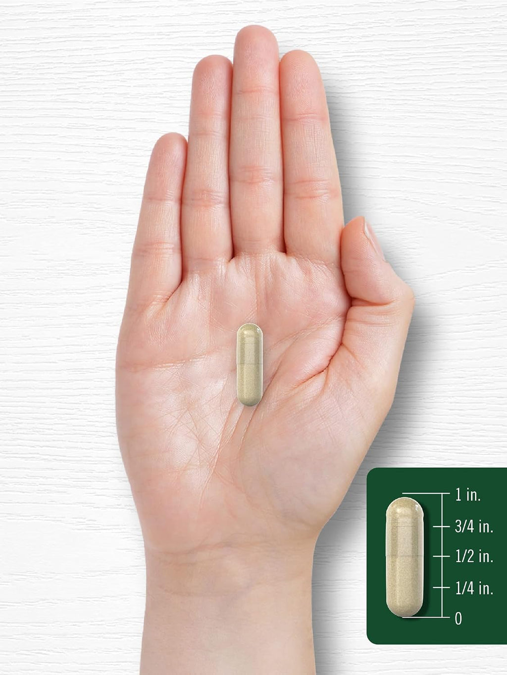 Carlyle Salvia 180 Cápsulas - Complemento Alimenticio de Alta Potencia