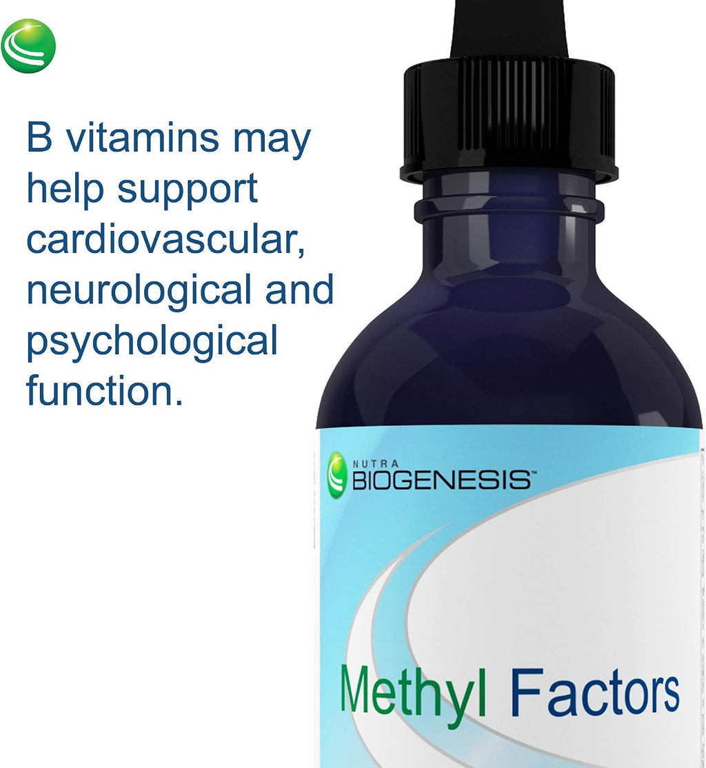 Methyl Factors - Gotas Sublinguales de Vitaminas B12, B6 y Ácido Fólico Metilados - 60 ml