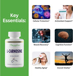 L-Carnosine de Paradise Herbs, 60 Cápsulas Vegetales