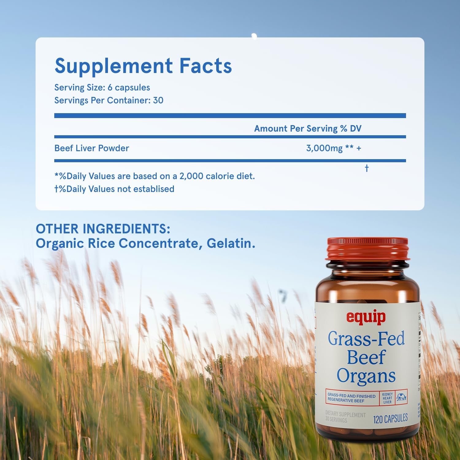 Equip Órganos de Res Alimentados con Pasto - Extracto de Hígado, Riñón y Corazón Liofilizado - Suplemento Multivitamínico Natural (30 dosis)