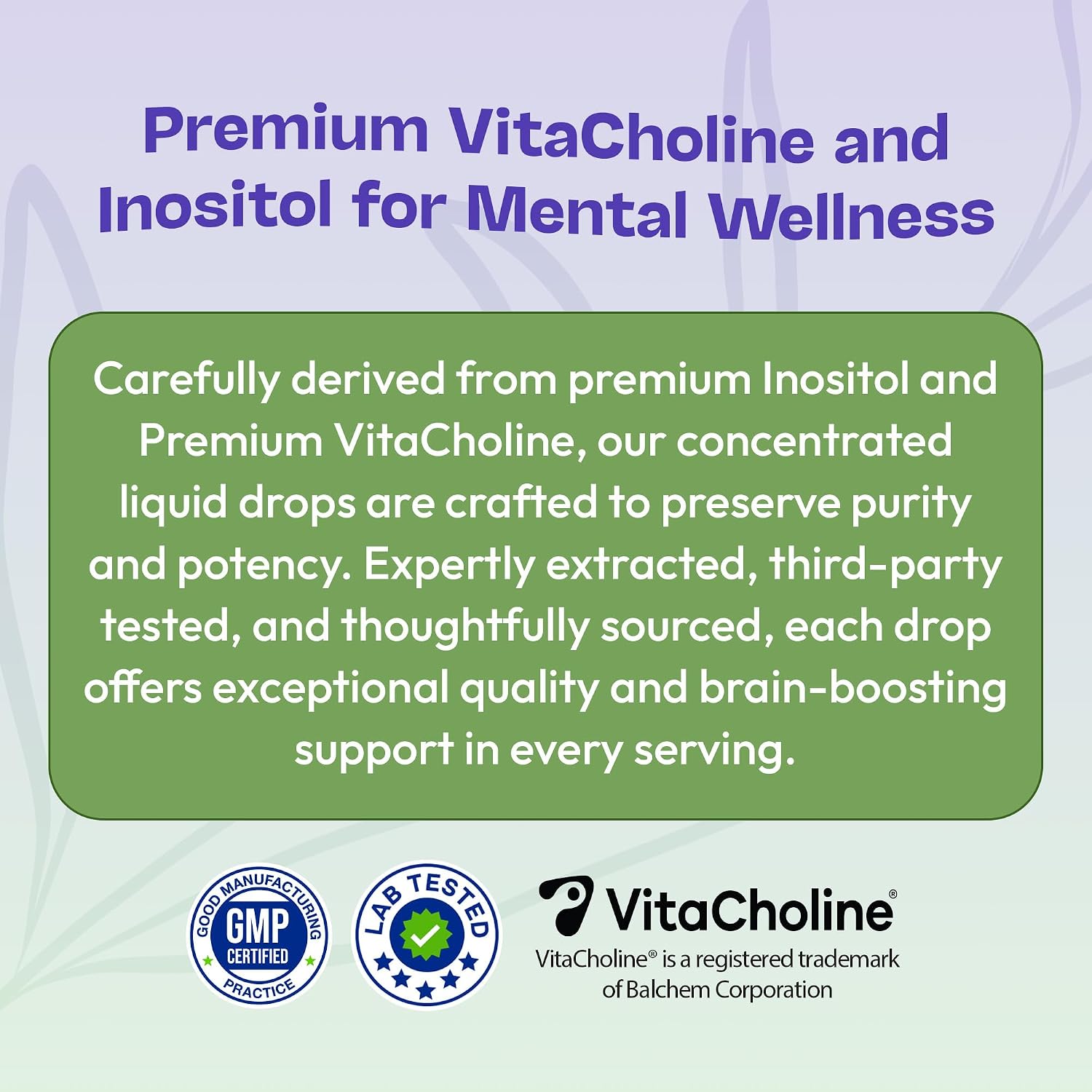 Gotas Líquidas de Inositol y Colina – Vegano, No GMO, Fácil de Tomar – Suplemento de Inositol de Absorción Mejorada – Vitaminas Prenatales para Mujeres – Apoya la Salud Celular y el Bienestar General (Frutos Rojos, 60ml)