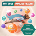 Multivitamínico para perros con glucosamina, omega 3, minerales, probióticos y enzimas - 120 masticables sabor pollo