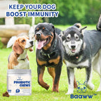Baaww Probióticos para Perros - Alivio Diarrea, Apoyo Inmunológico, Salud Digestiva, 6 mil millones de UFC, 90 Masticables Sabor Cerdo para Todas las Razas