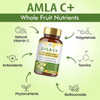 Organic Veda Amla + Cápsulas - Extracto Concentrado de Amla 20X con Vitamina C Natural
