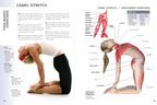 Anatomy of Exercise for 50+: A Trainer's Guide to Staying Fit Over Fifty