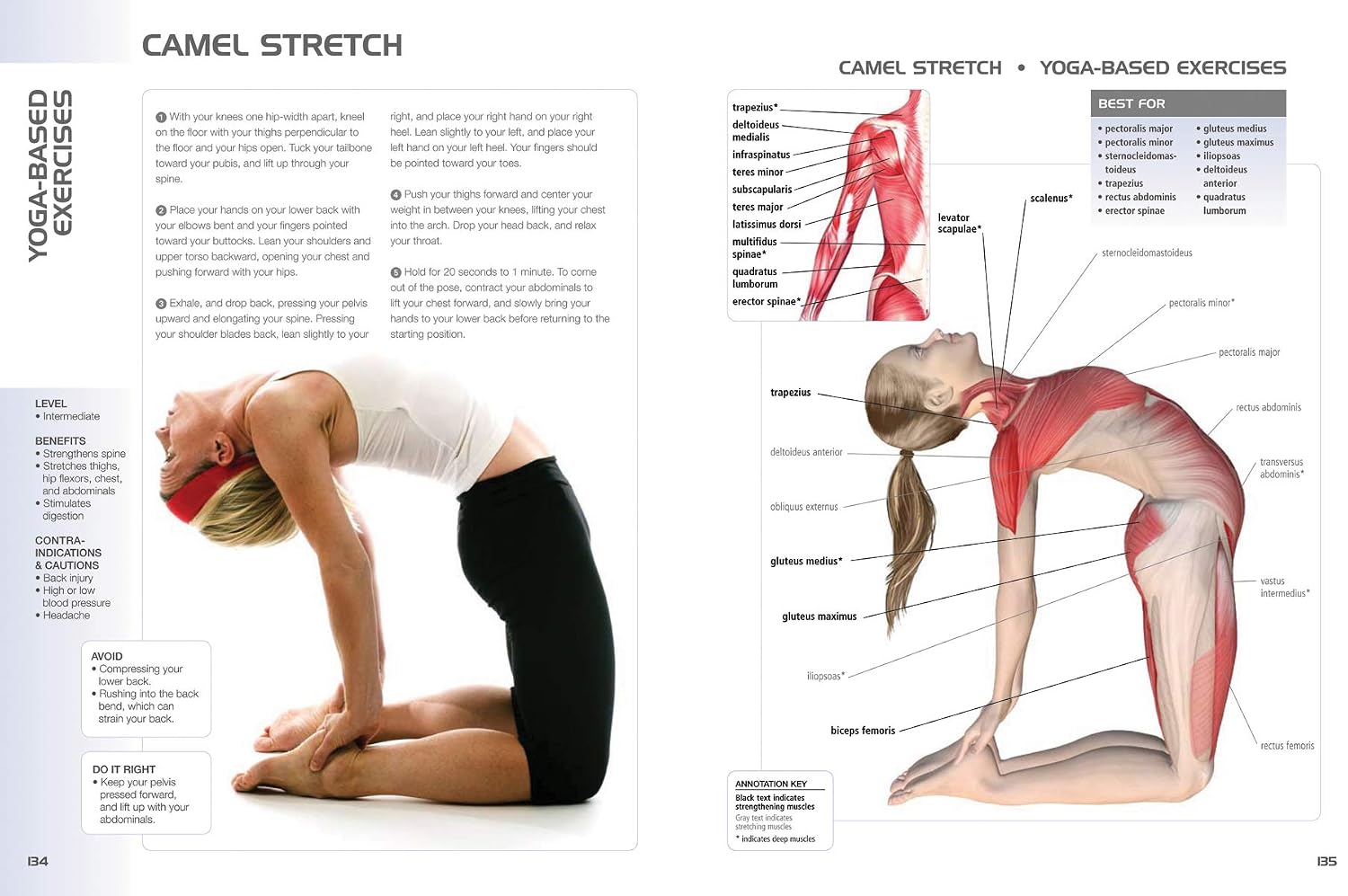 Anatomy of Exercise for 50+: A Trainer's Guide to Staying Fit Over Fifty