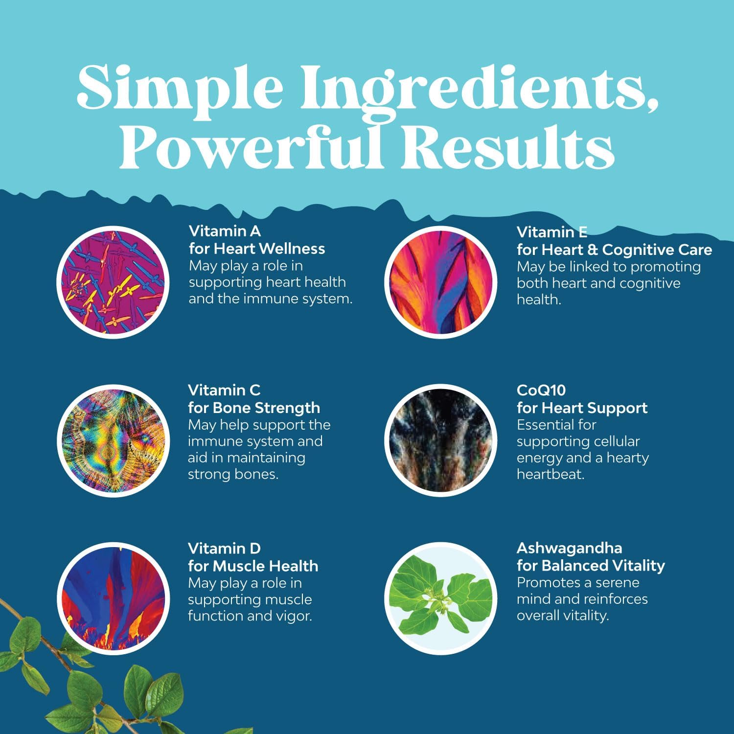 Natures Craft Multivitamínico para Hombres en Gominolas con CoQ10, Ashwagandha y Superfoods - 90 Gominolas