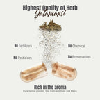 Herbsforever Cápsulas de Jatamansi | Nardostachys Jatamansi | 60 Cápsulas Veganas, 800 mg