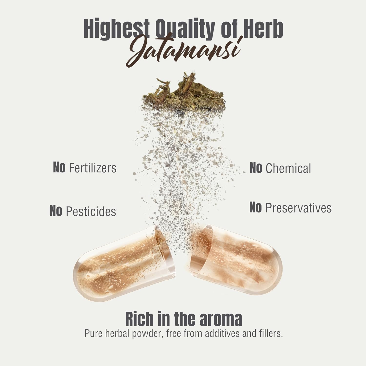Herbsforever Cápsulas de Jatamansi | Nardostachys Jatamansi | 60 Cápsulas Veganas, 800 mg
