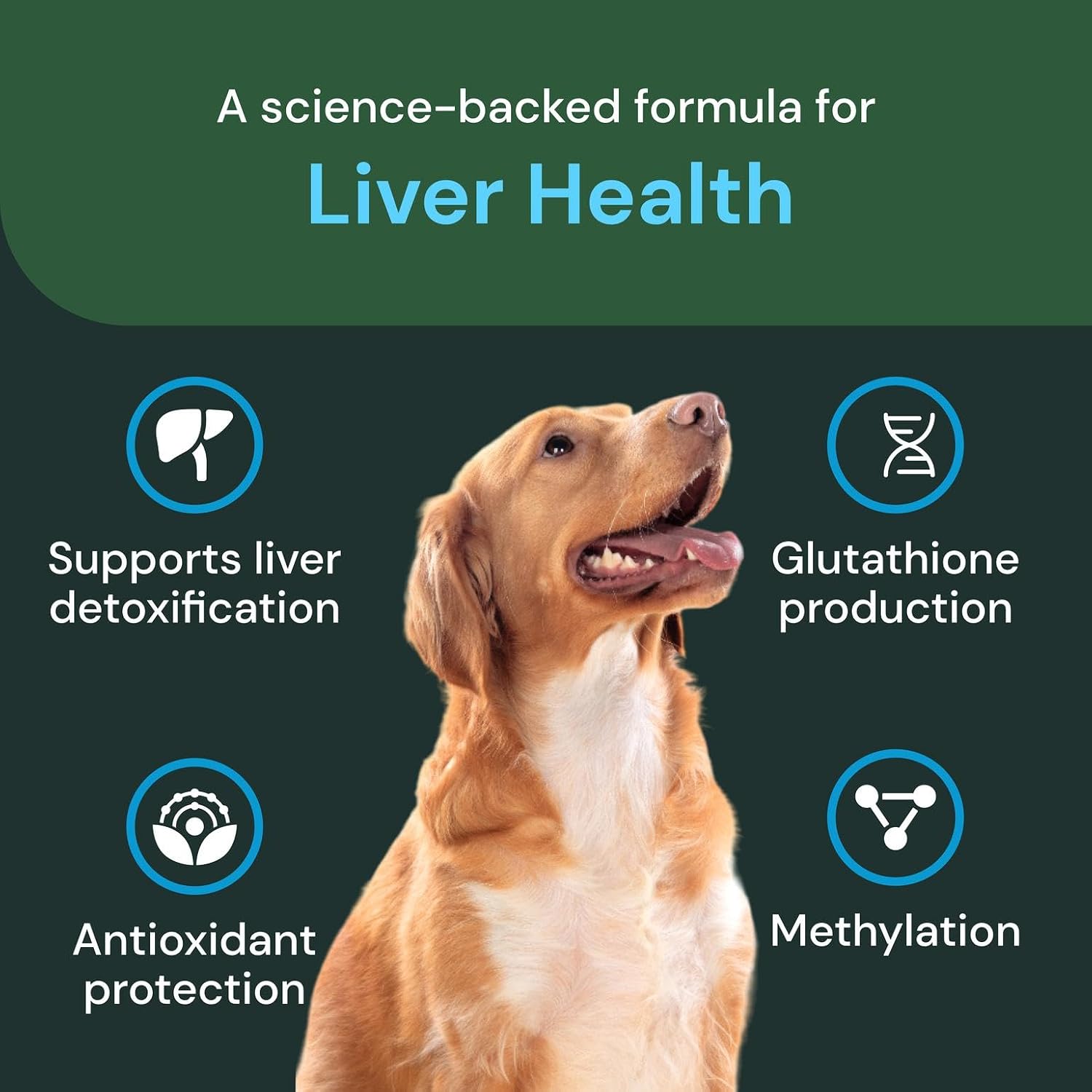 VetriScience Veterinary Strength Liver Health Chews - Suplemento Hepático para Perros, 60 Comprimidos