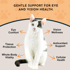 Animal Essentials Eye Defense Support for Dogs and Cats, 30 ml - Organic Bilberry and Marigold Herbal Blend, Alcohol-Free