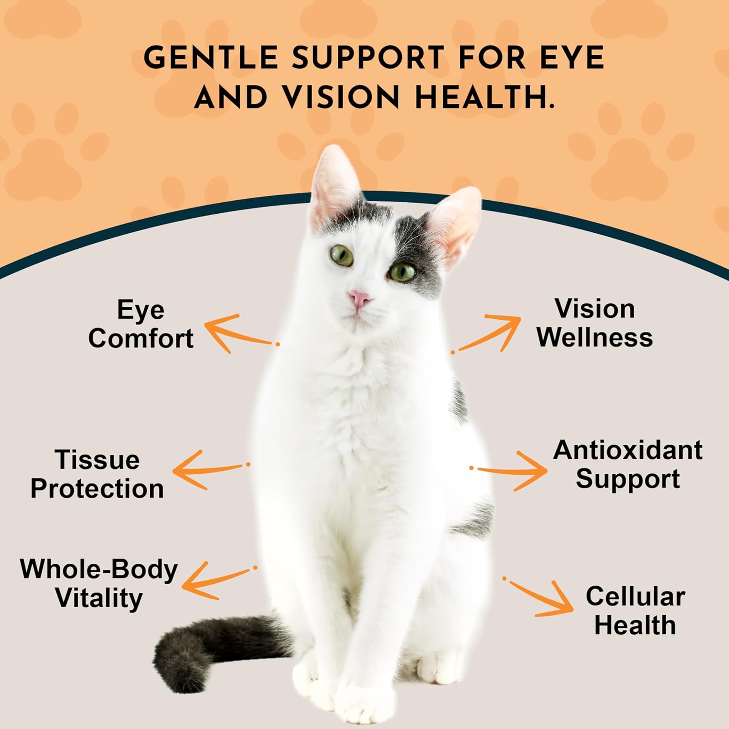 Animal Essentials Eye Defense Support for Dogs and Cats, 30 ml - Organic Bilberry and Marigold Herbal Blend, Alcohol-Free