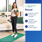 Pure Encapsulations Renual | Urolithin A | Apoyo a la Función Muscular y Salud Mitocondrial | 60 Cápsulas