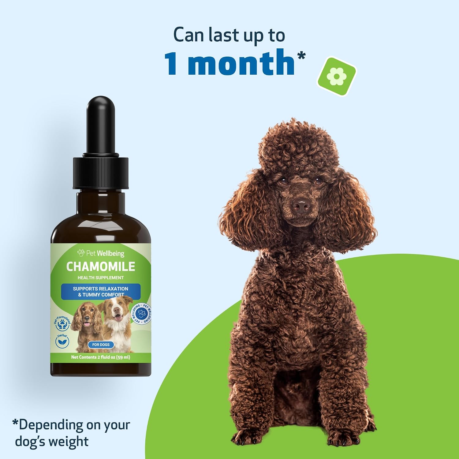 Pet Wellbeing Manzanilla para Perros - Suplemento Orgánico de Hierba Única - Apoyo Digestivo Suave y Calmante Holístico - Extracto Puro de Manzanilla - Formulado por Veterinarios, 59 ml