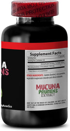 Extracto de Mucuna Pruriens – 60 Cápsulas – Suplemento para Apoyar la Memoria y la Concentración