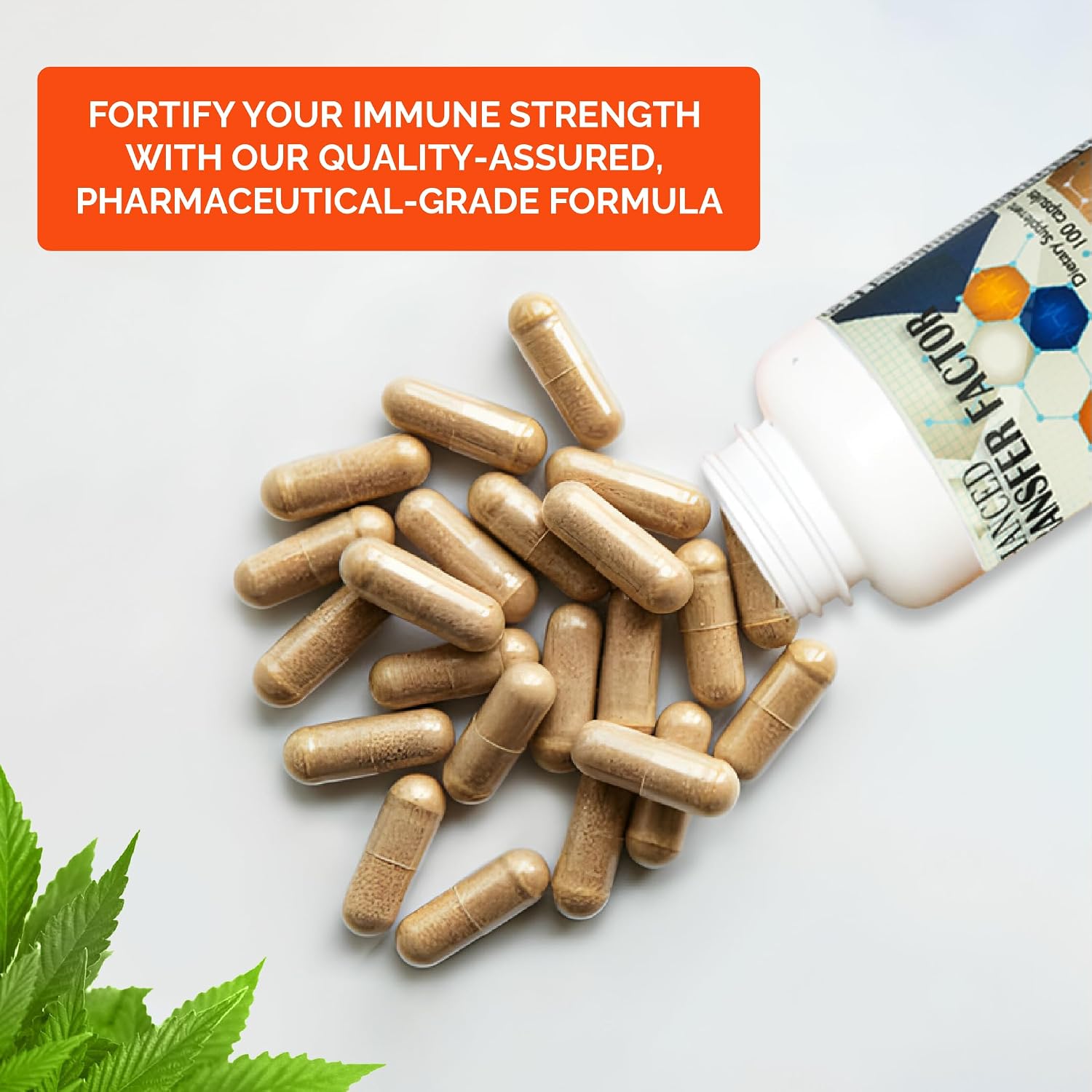 Transfer Factor Enhanced, 100 Cápsulas Naturales – Apoyo Inmunitario