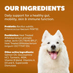 Protexin Daily Care Gut+ Wellness - 60 masticables sabor pato y zanahoria para perros