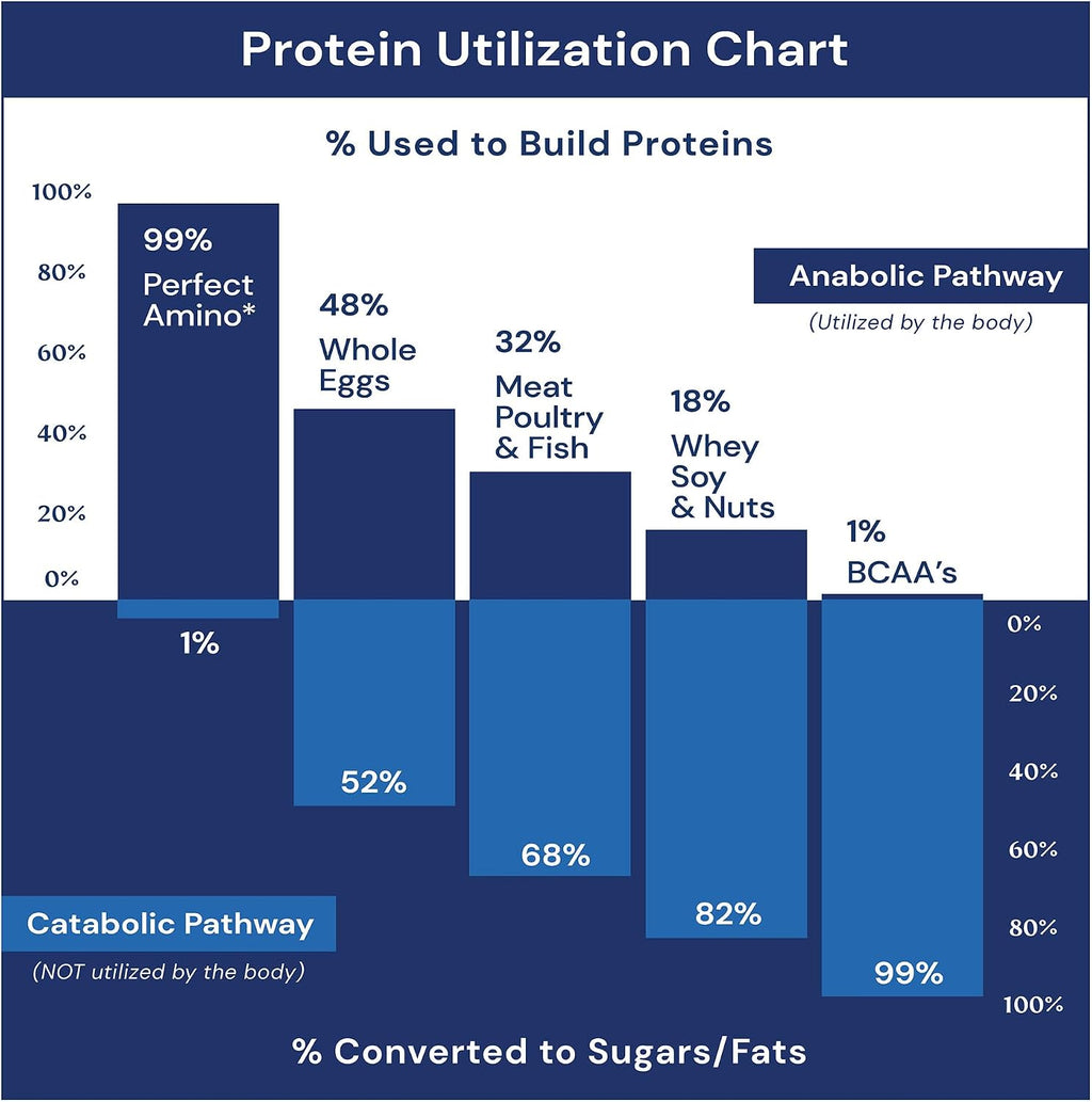 BodyHealth Gut Restore con PerfectAmino, ImmunoLin y Ácido Húmico - Suplemento para la Salud Digestiva e Inmune - Sin Sabor - 30 Dosis