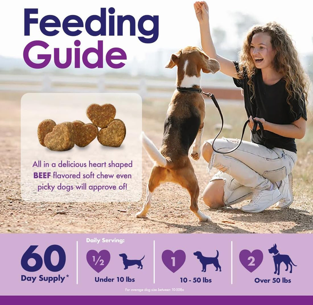 Multivitamínico Masticable para Perros 22 en 1 - Con Mejillón de Labios Verdes y Omega-3 - 60 Masticables Sabor Ternera