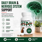 Complemento para la Memoria y Concentración con Vitamina B6 y Tiamina | Vitaminas B de Alta Dosis para el Sistema Nervioso y la Salud Cognitiva, Fórmula Diaria para Adultos, 60 Comprimidos (Pack de 2)