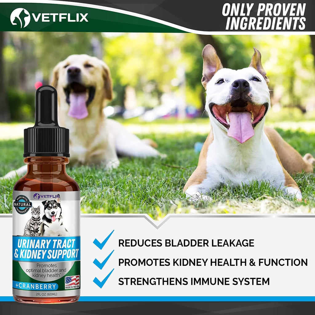 Vetflix Suplemento Líquido para Vías Urinarias y Riñón para Perros y Gatos, 59 ml