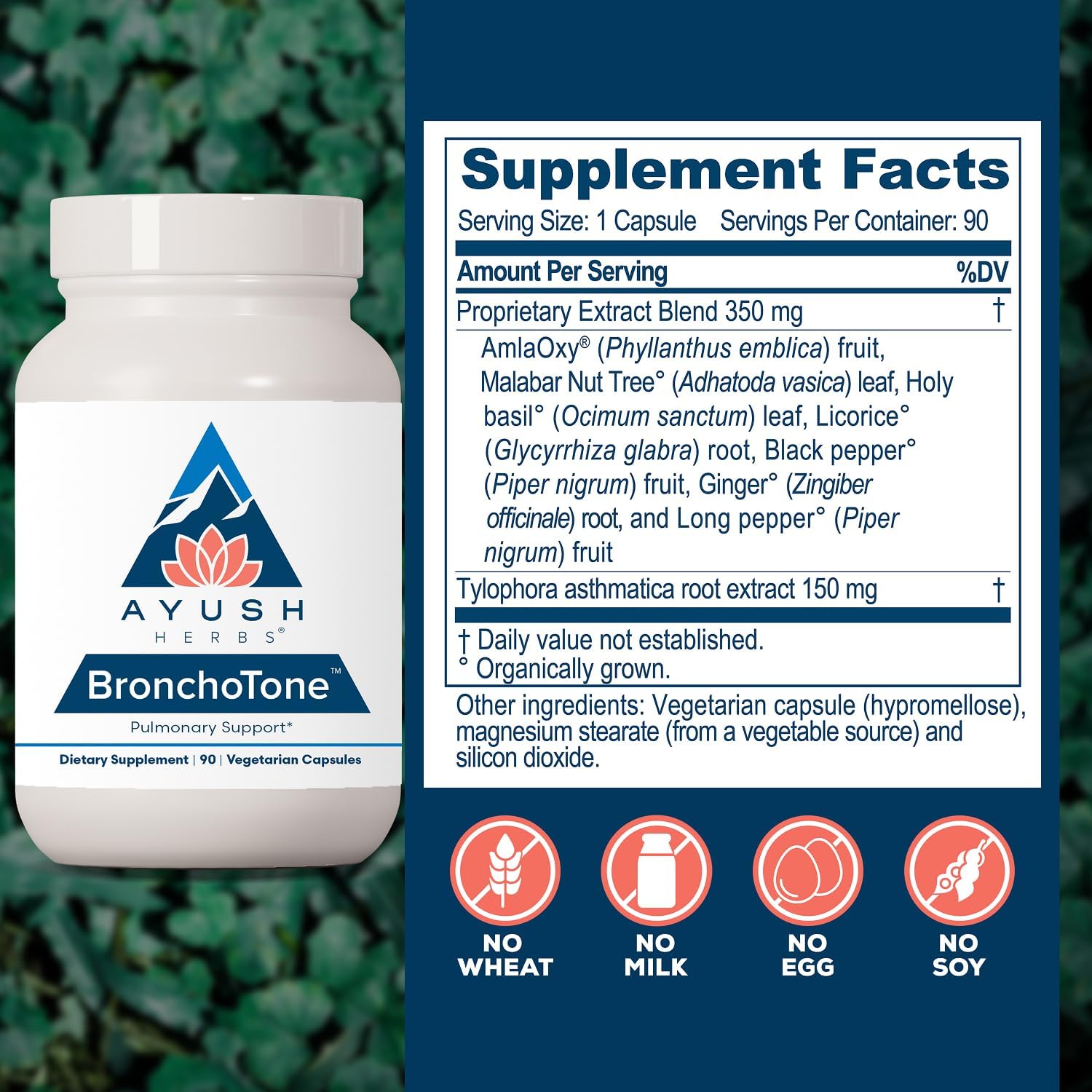 Ayush Herbs Bronchotone - Bronchial and Respiratory Support, 90 Capsules