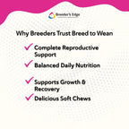 Breeder’s Edge Breed to Wean Multivitamínico para Perros y Gatos, 400 Comprimidos Masticables
