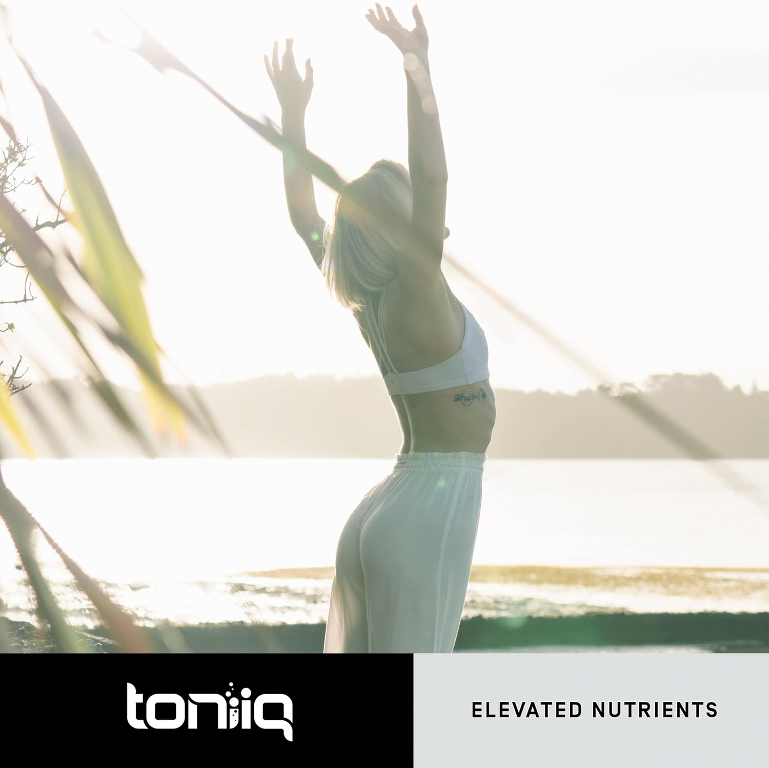 Toniiq Fisetin 500mg de Alta Pureza - 98%+ con Aceite MCT - 60 Cápsulas