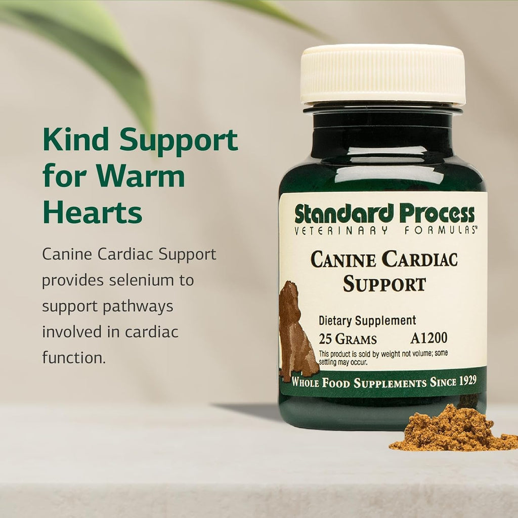 Standard Process Inc. Canine Cardiac Support - Suplemento para la salud cardíaca de perros con selenio - 25 g